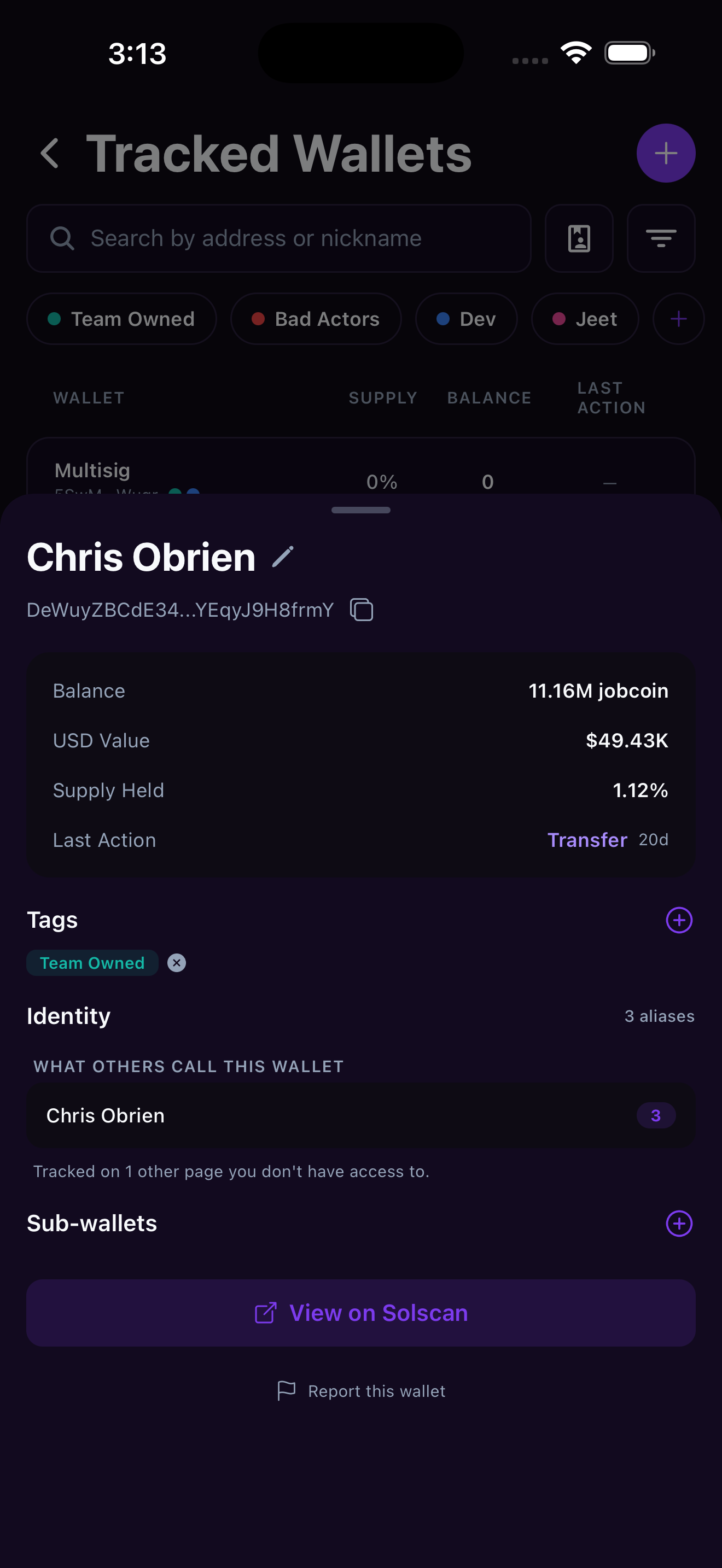 Mobile wallet inspector sheet showing balance, supply held, identity aliases, and sub-wallets